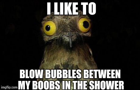 Weird Stuff I Do Potoo Meme | I LIKE TO BLOW BUBBLES BETWEEN MY BOOBS IN THE SHOWER | image tagged in memes,weird stuff i do potoo,AdviceAnimals | made w/ Imgflip meme maker