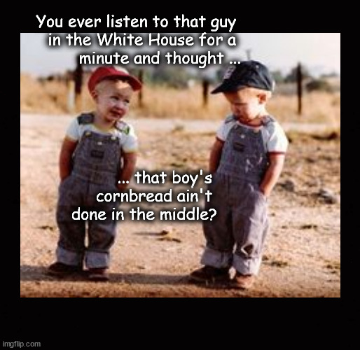 You ever listen to that guy in the White House ...? | You ever listen to that guy 
in the White House for a 
minute and thought ... ... that boy's 
cornbread ain't 
done in the middle? | image tagged in biden | made w/ Imgflip meme maker