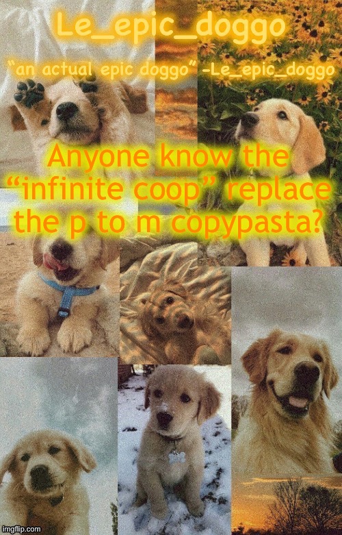 Doggo temp by doggo. Wait what that’s confusing | Anyone know the “infinite coop” replace the p to m copypasta? | image tagged in doggo temp by doggo wait what that s confusing | made w/ Imgflip meme maker