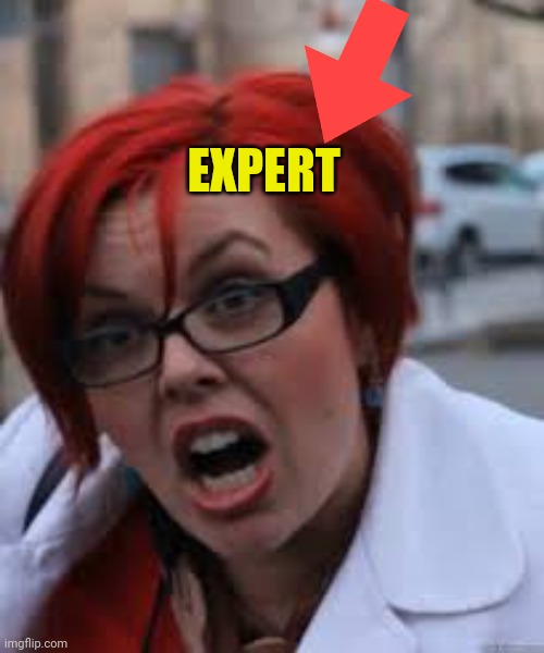 SJW Triggered | EXPERT | image tagged in sjw triggered | made w/ Imgflip meme maker