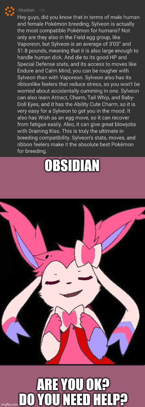 OBSIDIAN; ARE YOU OK? DO YOU NEED HELP? | image tagged in smug slyveon | made w/ Imgflip meme maker