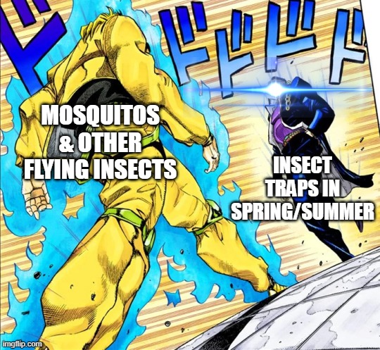 The Moisquitos Fate |  MOSQUITOS & OTHER FLYING INSECTS; INSECT TRAPS IN SPRING/SUMMER | image tagged in jojo's walk,mosquitoes,mosquito attack,mosquito,it's a trap,trap | made w/ Imgflip meme maker