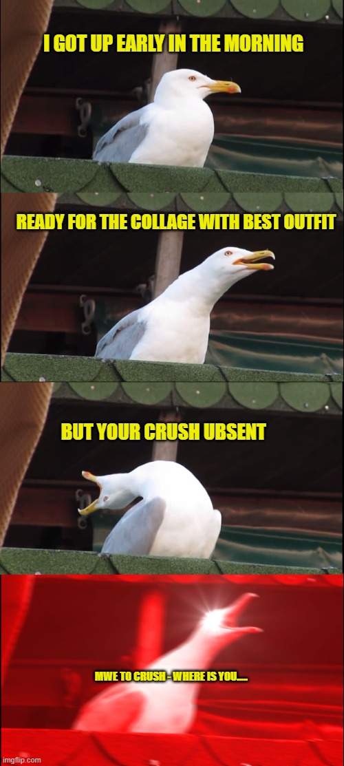 Inhaling Seagull | I GOT UP EARLY IN THE MORNING; READY FOR THE COLLAGE WITH BEST OUTFIT; BUT YOUR CRUSH UBSENT; MWE TO CRUSH - WHERE IS YOU..... | image tagged in memes,inhaling seagull | made w/ Imgflip meme maker