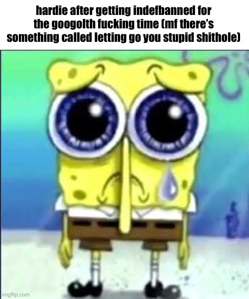 Sad Spongebob | hardie after getting indefbanned for the googolth fucking time (mf there’s something called letting go you stupid shithole) | image tagged in sad spongebob | made w/ Imgflip meme maker