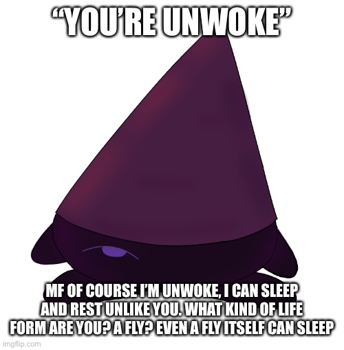 “Unwoke” | “YOU’RE UNWOKE”; MF OF COURSE I’M UNWOKE, I CAN SLEEP AND REST UNLIKE YOU. WHAT KIND OF LIFE FORM ARE YOU? A FLY? EVEN A FLY ITSELF CAN SLEEP | image tagged in kirby conbi | made w/ Imgflip meme maker