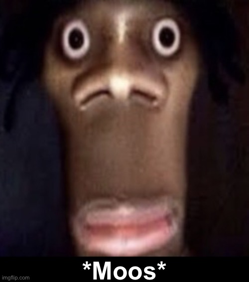 Quandale dingle | *Moos* | image tagged in quandale dingle | made w/ Imgflip meme maker
