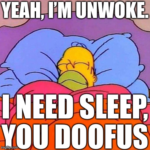 Homer Napping | YEAH, I’M UNWOKE. I NEED SLEEP, YOU DOOFUS | made w/ Imgflip meme maker