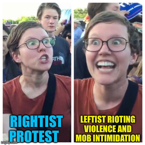 Social Justice Warrior Hypocrisy | RIGHTIST PROTEST LEFTIST RIOTING VIOLENCE AND MOB INTIMIDATION | image tagged in social justice warrior hypocrisy | made w/ Imgflip meme maker