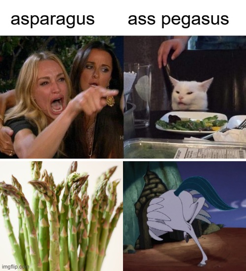 asparagus according to Smudge | image tagged in smudge,cat,yelling,woman,asparagus,pegasus | made w/ Imgflip meme maker
