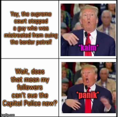 Egbert v. Boule | Yay, the supreme court stopped a guy who was mistreated from suing the border patrol! Wait, does that mean my followers can't sue the Capitol Police now? | image tagged in trump yes no calm panic kalm panik,civil rights,injustice,conservative | made w/ Imgflip meme maker