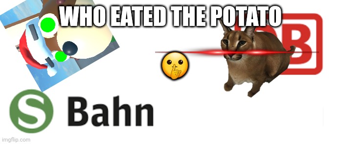 S Bahn Blank | 🤫; WHO EATED THE POTATO | image tagged in s bahn blank | made w/ Imgflip meme maker