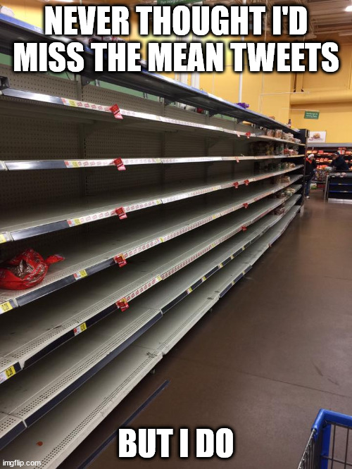 empty shelves | NEVER THOUGHT I'D MISS THE MEAN TWEETS; BUT I DO | image tagged in empty shelves | made w/ Imgflip meme maker
