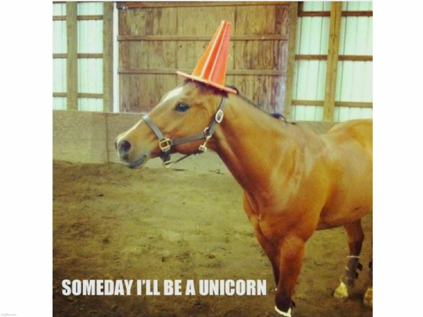 Ha | made w/ Imgflip meme maker