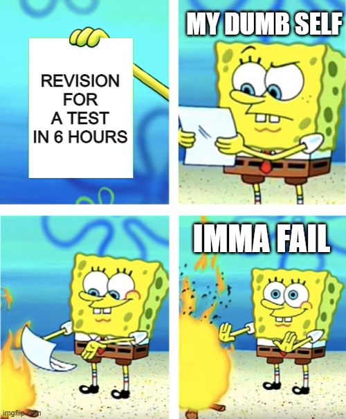 Spongebob Burning Paper | MY DUMB SELF; REVISION FOR A TEST IN 6 HOURS; IMMA FAIL | image tagged in spongebob burning paper | made w/ Imgflip meme maker