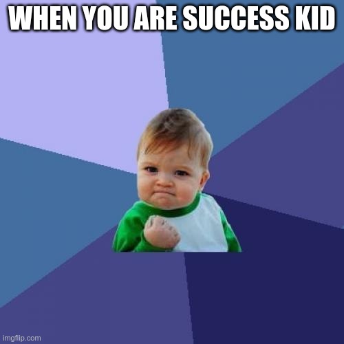 Success Kid Meme | WHEN YOU ARE SUCCESS KID | image tagged in memes,success kid,fun | made w/ Imgflip meme maker