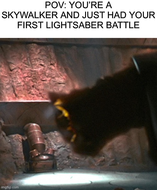 POV: YOU’RE A SKYWALKER AND JUST HAD YOUR FIRST LIGHTSABER BATTLE | image tagged in memes,funny,funny memes,star wars,lightsaber,skywalker | made w/ Imgflip meme maker