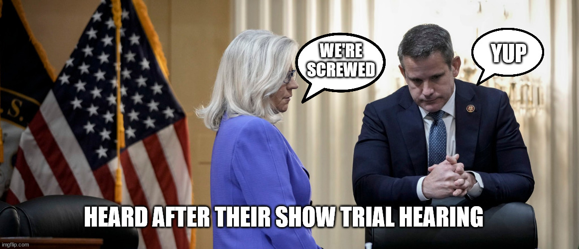 This turkey is done... Nobody is watching | WE'RE SCREWED; YUP; HEARD AFTER THEIR SHOW TRIAL HEARING | image tagged in kangaroo,hearing | made w/ Imgflip meme maker
