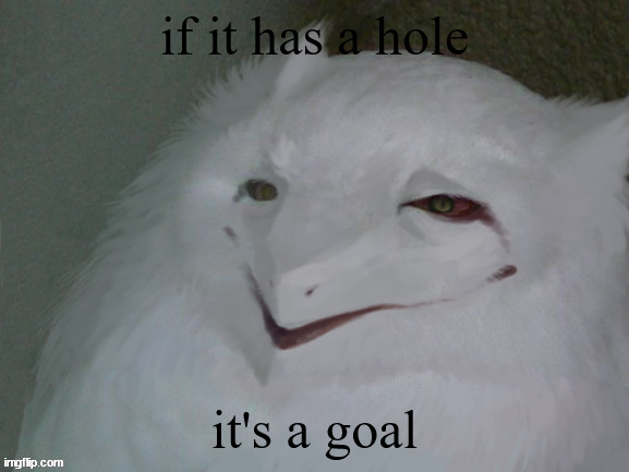 i dunno at this point | if it has a hole; it's a goal | image tagged in a literal egg | made w/ Imgflip meme maker