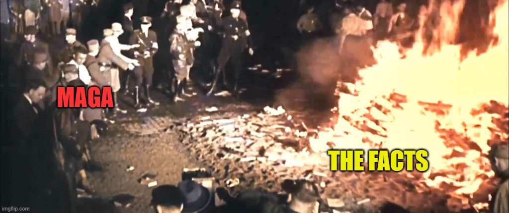 Book Burning Germany 1930s | MAGA THE FACTS | image tagged in book burning germany 1930s | made w/ Imgflip meme maker