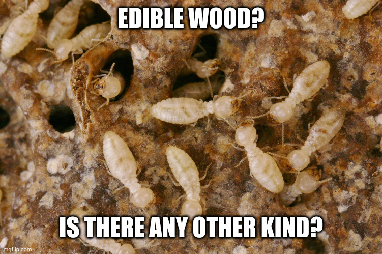 Nano-Termites | EDIBLE WOOD? IS THERE ANY OTHER KIND? | image tagged in nano-termites | made w/ Imgflip meme maker