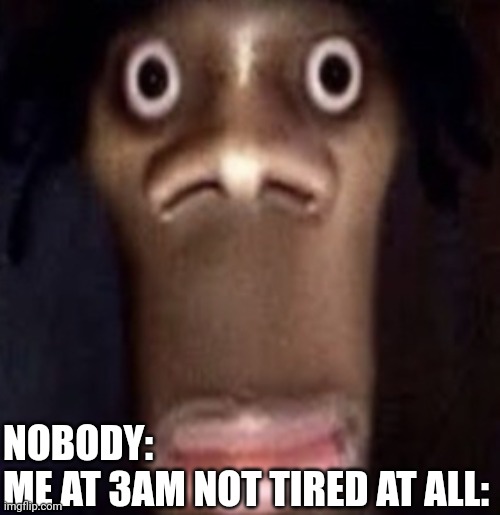 *random burst of energy* | NOBODY:
ME AT 3AM NOT TIRED AT ALL: | image tagged in quandale dingle,3am | made w/ Imgflip meme maker