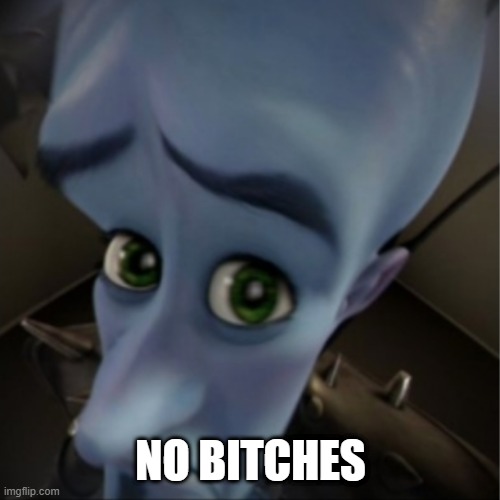 in comment | NO BITCHES | image tagged in megamind peeking | made w/ Imgflip meme maker