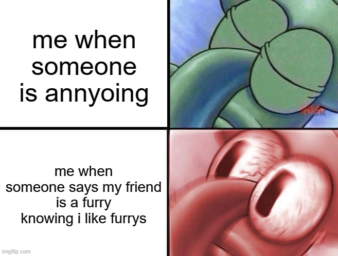 shutup, stop yelling about how i like furrys | me when someone is annyoing; me when someone says my friend is a furry knowing i like furrys | image tagged in sleeping squidward,furry | made w/ Imgflip meme maker