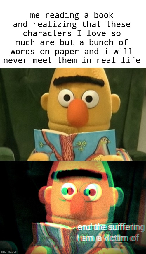 suffering bert | me reading a book and realizing that these characters I love so much are but a bunch of words on paper and i will never meet them in real life | image tagged in suffering bert | made w/ Imgflip meme maker
