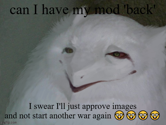 nerd | can I have my mod 'back'; I swear I'll just approve images and not start another war again 🤓🤓🤓🤓 | image tagged in a literal egg | made w/ Imgflip meme maker