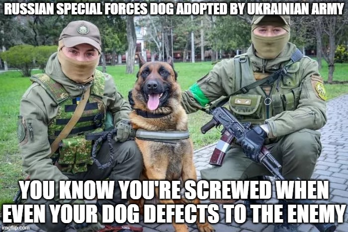 Defector Dog | RUSSIAN SPECIAL FORCES DOG ADOPTED BY UKRAINIAN ARMY; YOU KNOW YOU'RE SCREWED WHEN EVEN YOUR DOG DEFECTS TO THE ENEMY | image tagged in funny dog memes,russia,ukraine | made w/ Imgflip meme maker