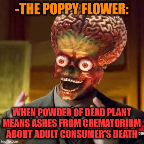 -To make conclusion. | -THE POPPY FLOWER:; WHEN POWDER OF DEAD PLANT MEANS ASHES FROM CREMATORIUM ABOUT ADULT CONSUMER'S DEATH | image tagged in aliens 6,heroin,don't do drugs,police chasing guy,flower train man,the walking dead | made w/ Imgflip meme maker