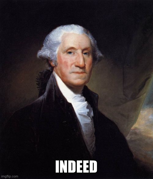 George Washington Meme | INDEED | image tagged in memes,george washington | made w/ Imgflip meme maker