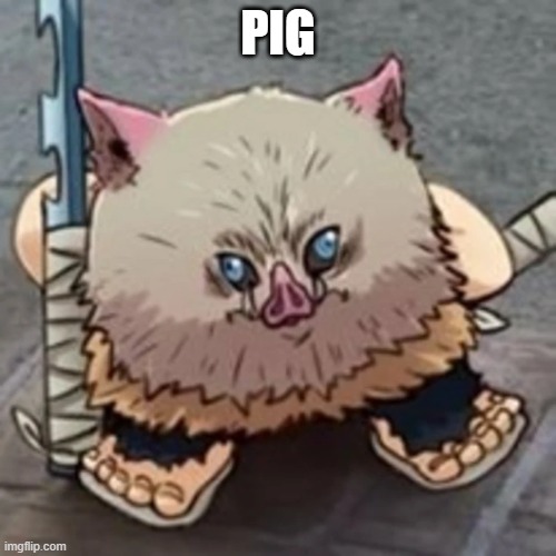 pig | PIG | made w/ Imgflip meme maker