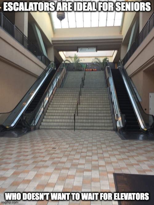 Escalators | ESCALATORS ARE IDEAL FOR SENIORS; WHO DOESN'T WANT TO WAIT FOR ELEVATORS | image tagged in mall,escalator,memes | made w/ Imgflip meme maker