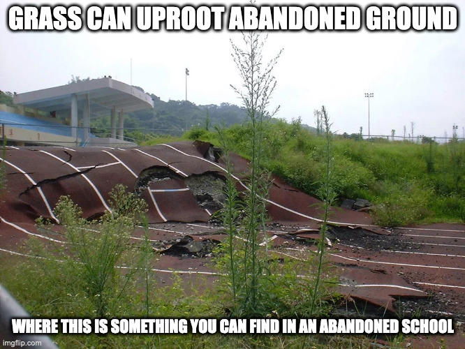 Abandoned Race Tracks | GRASS CAN UPROOT ABANDONED GROUND; WHERE THIS IS SOMETHING YOU CAN FIND IN AN ABANDONED SCHOOL | image tagged in track,memes,school | made w/ Imgflip meme maker