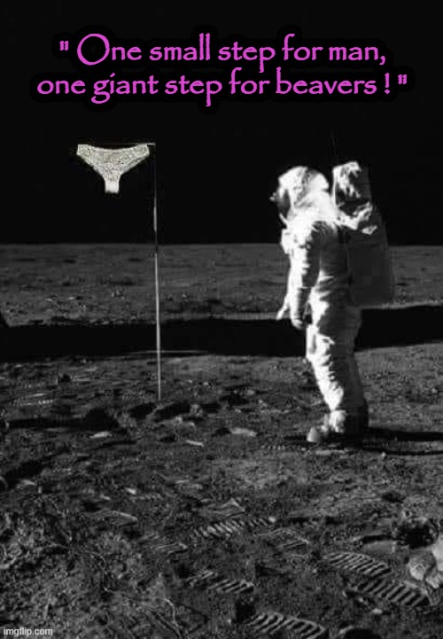 One Step ! | " One small step for man,
one giant step for beavers ! " | image tagged in honeymooners | made w/ Imgflip meme maker
