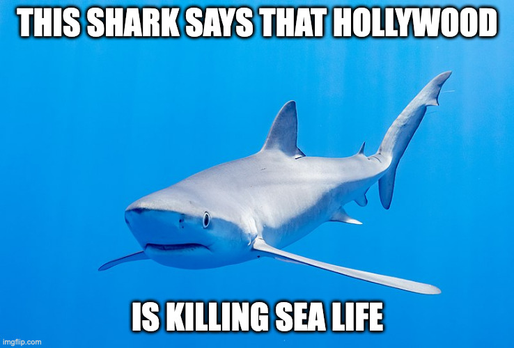 Sharknado Spin-Off | THIS SHARK SAYS THAT HOLLYWOOD; IS KILLING SEA LIFE | image tagged in shark,sharknado,memes | made w/ Imgflip meme maker