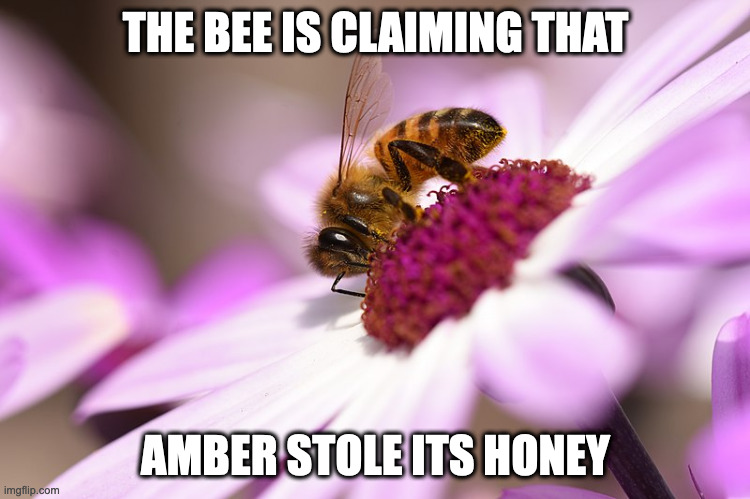 Bee on Flower | THE BEE IS CLAIMING THAT; AMBER STOLE ITS HONEY | image tagged in bees,memes | made w/ Imgflip meme maker