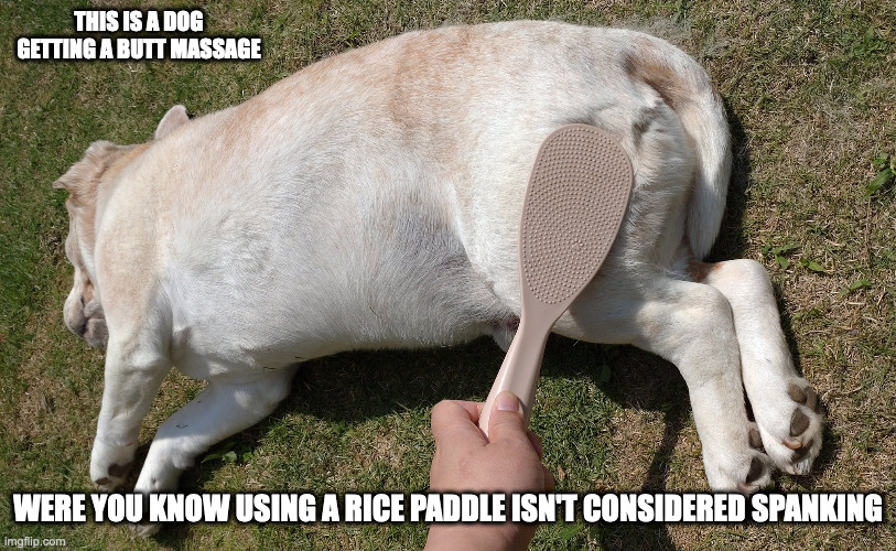 Dog Butt Massage | THIS IS A DOG GETTING A BUTT MASSAGE; WERE YOU KNOW USING A RICE PADDLE ISN'T CONSIDERED SPANKING | image tagged in dogs,butt,memes | made w/ Imgflip meme maker