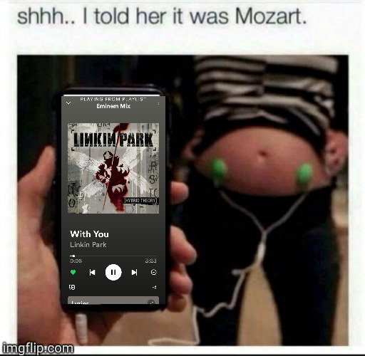 I told her it was Mozart | image tagged in i told her it was mozart | made w/ Imgflip meme maker