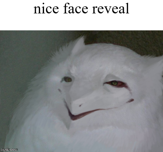 a literal egg | nice face reveal | image tagged in a literal egg | made w/ Imgflip meme maker