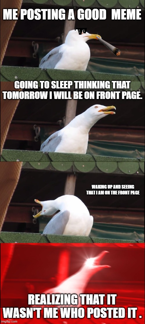 did it happen to you | ME POSTING A GOOD  MEME; GOING TO SLEEP THINKING THAT TOMORROW I WILL BE ON FRONT PAGE. WAKING UP AND SEEING THAT I AM ON THE FRONT PAGE; REALIZING THAT IT WASN'T ME WHO POSTED IT . | image tagged in memes,inhaling seagull | made w/ Imgflip meme maker