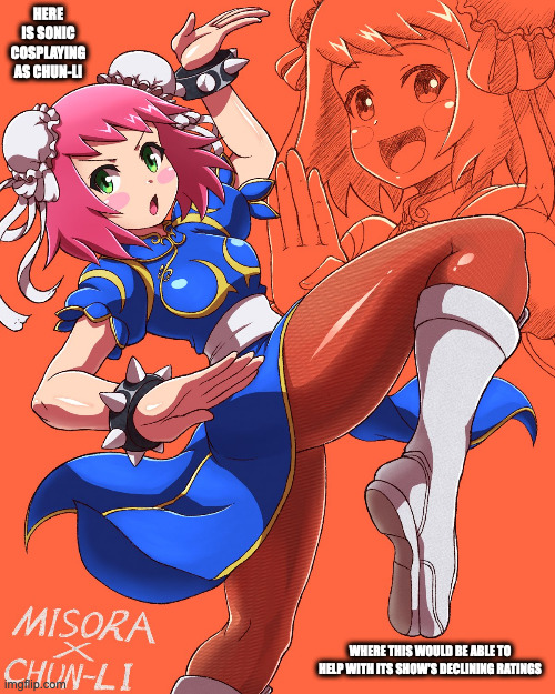 Sonia Strumm as Chun-Li | HERE IS SONIC COSPLAYING AS CHUN-LI; WHERE THIS WOULD BE ABLE TO HELP WITH ITS SHOW'S DECLINING RATINGS | image tagged in chun-li,street fighter,megaman,megaman star force,sonia strumm,memes | made w/ Imgflip meme maker