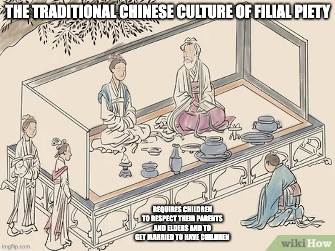 Filial Piety | THE TRADITIONAL CHINESE CULTURE OF FILIAL PIETY; REQUIRES CHILDREN TO RESPECT THEIR PARENTS AND ELDERS AND TO GET MARRIED TO HAVE CHILDREN | image tagged in filial piety,memes | made w/ Imgflip meme maker