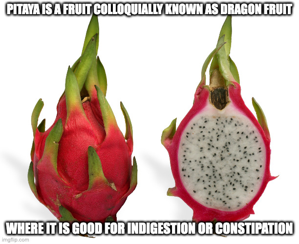 Pitaya | PITAYA IS A FRUIT COLLOQUIALLY KNOWN AS DRAGON FRUIT; WHERE IT IS GOOD FOR INDIGESTION OR CONSTIPATION | image tagged in pitaya,fruit,memes | made w/ Imgflip meme maker