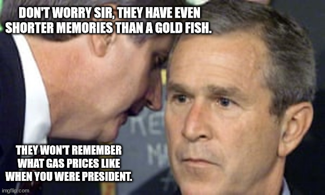 George Bush 9/11 | DON'T WORRY SIR, THEY HAVE EVEN SHORTER MEMORIES THAN A GOLD FISH. THEY WON'T REMEMBER WHAT GAS PRICES LIKE WHEN YOU WERE PRESIDENT. | image tagged in george bush 9/11 | made w/ Imgflip meme maker