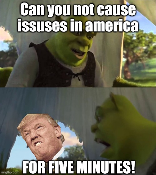 Can you not | Can you not cause issuses in america; FOR FIVE MINUTES! | image tagged in shrek five minutes,donald trump,shrek,memes | made w/ Imgflip meme maker