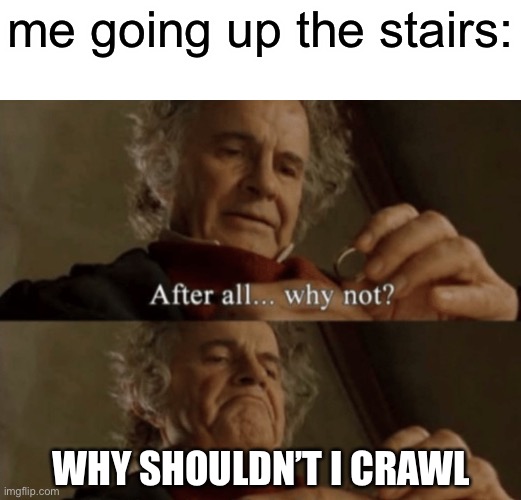crawl | me going up the stairs:; WHY SHOULDN’T I CRAWL | image tagged in after all why not | made w/ Imgflip meme maker