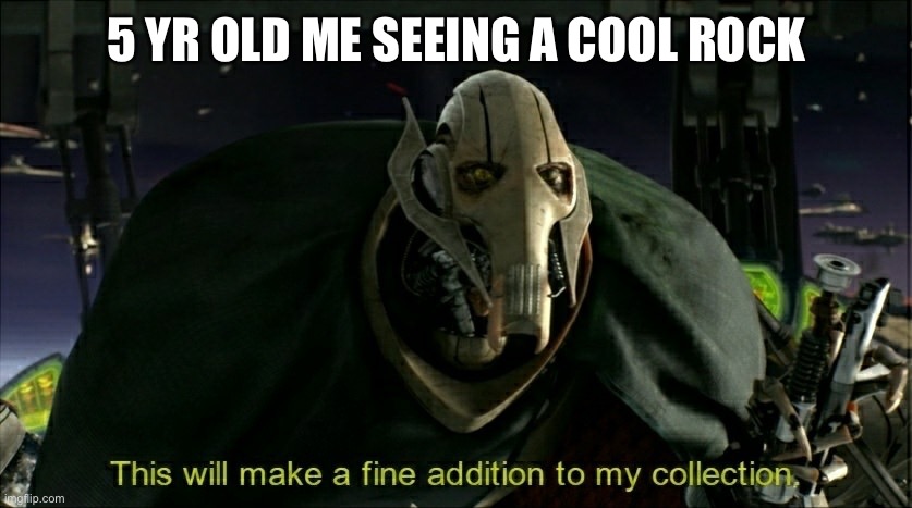 Yes | 5 YR OLD ME SEEING A COOL ROCK | image tagged in this will make a fine addition to my collection | made w/ Imgflip meme maker
