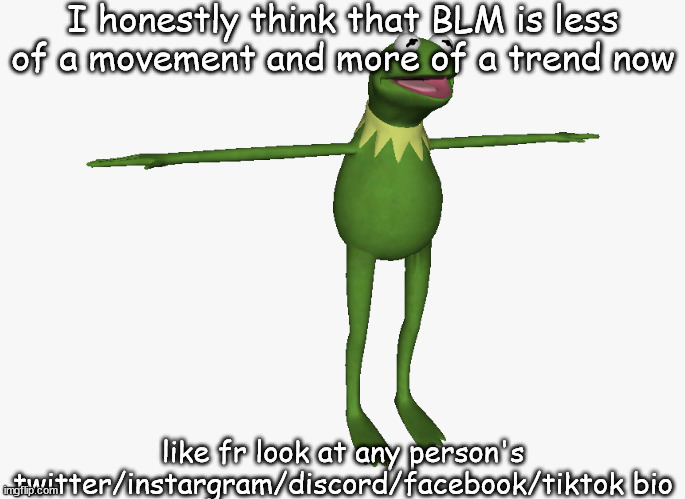 f | I honestly think that BLM is less of a movement and more of a trend now; like fr look at any person's twitter/instargram/discord/facebook/tiktok bio | image tagged in shitpost status | made w/ Imgflip meme maker